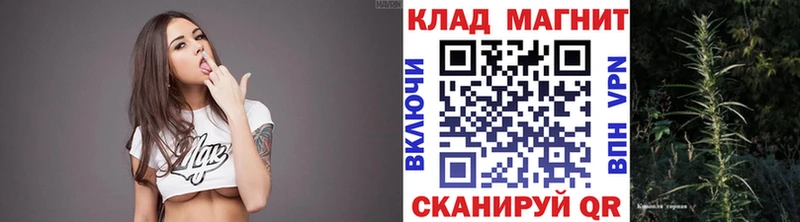 APVP Всеволожск